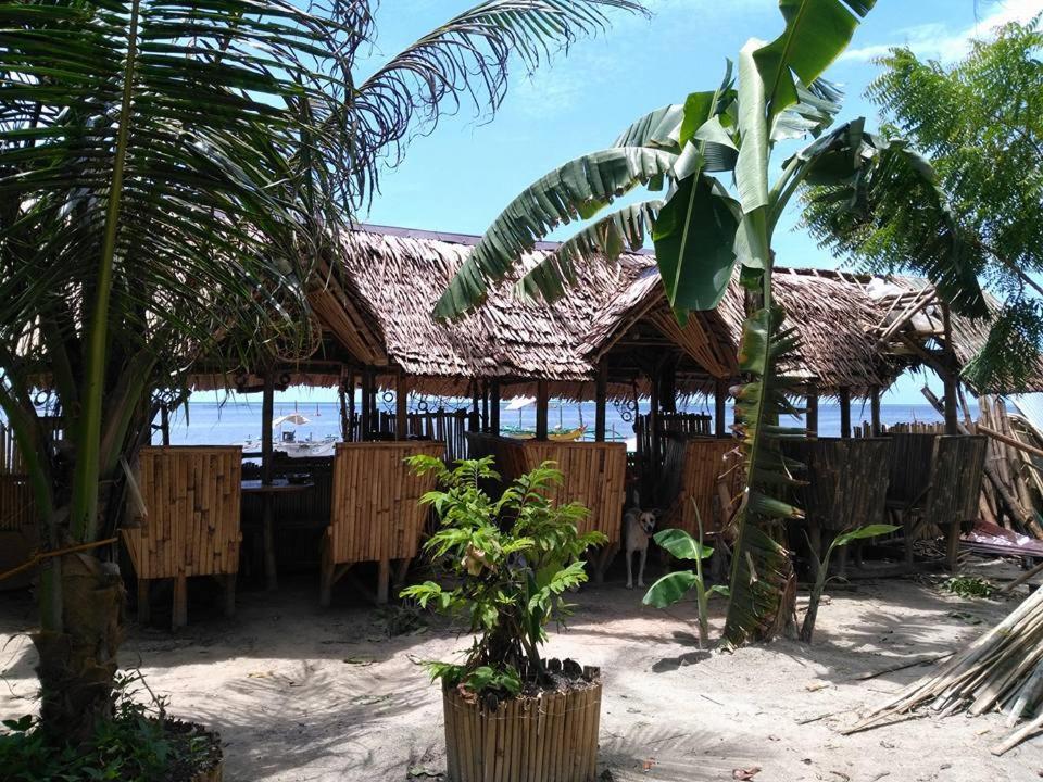 Bamboo Nest Beachfront Puerto Princesa Exteriér fotografie