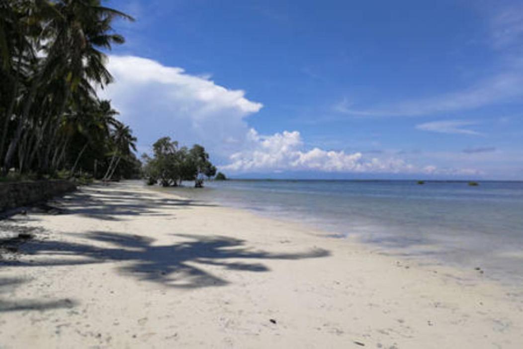 Bamboo Nest Beachfront Puerto Princesa Exteriér fotografie